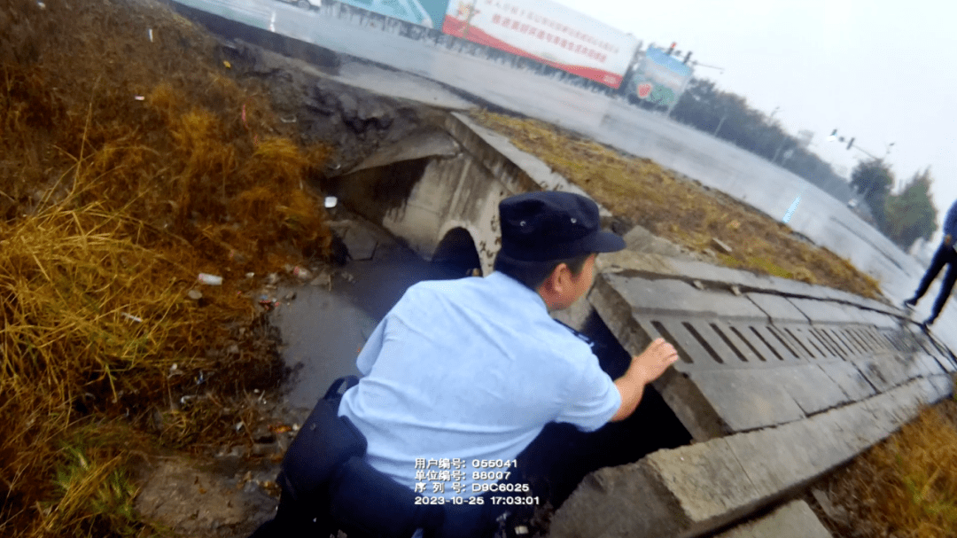 老人走失被困下水道11小时，民警钻进下水道爬着救人 丁婆婆 向旺 新闻