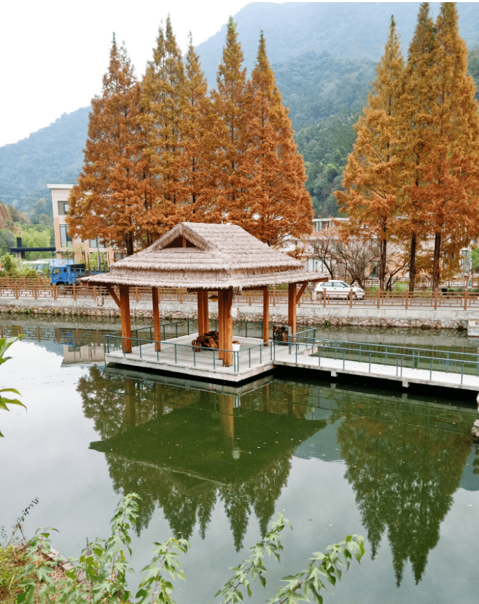 龙栖山自然风景区简介图片