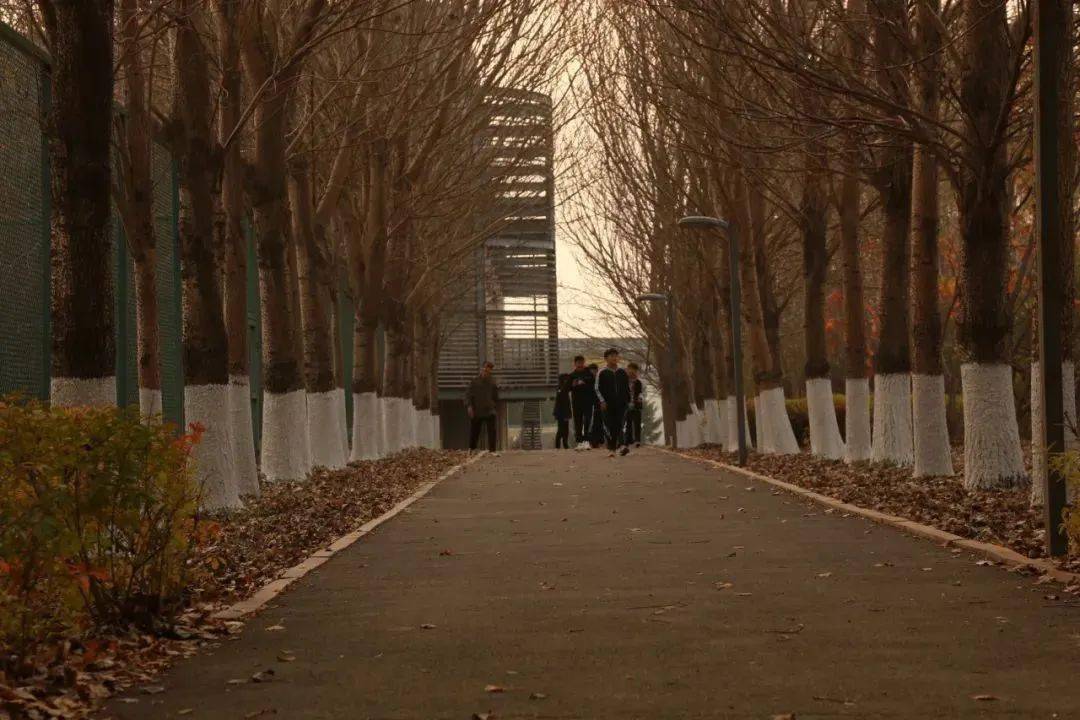 辽宁理工学院_辽宁理工学院学费_辽宁理工学院官网