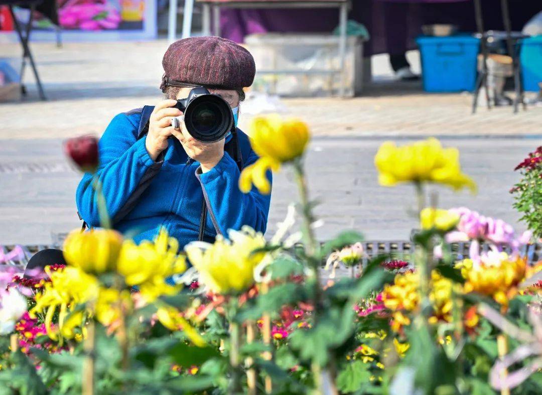 林萍摄影 杜云岭摄影 李刚摄影 李双印摄影 窦金明摄影 李春华摄影