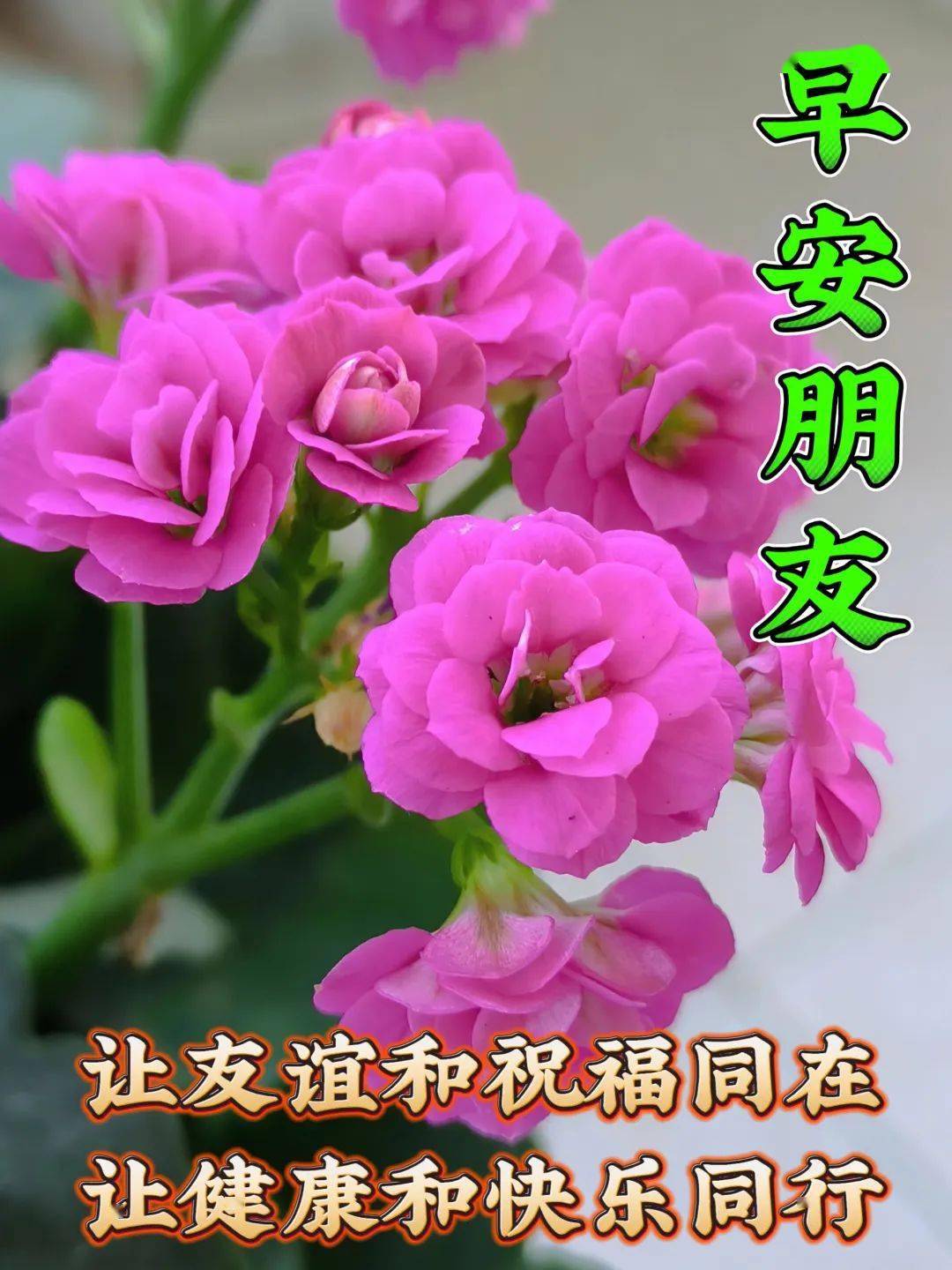 最新早上好漂亮图片祝福,快快乐乐福自来