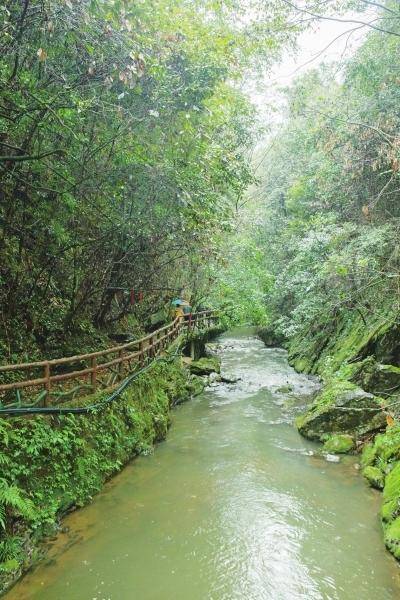 高峡出平湖2012年,以酒仙湖为依托的人工湿地,正式成为酒埠江国家湿地