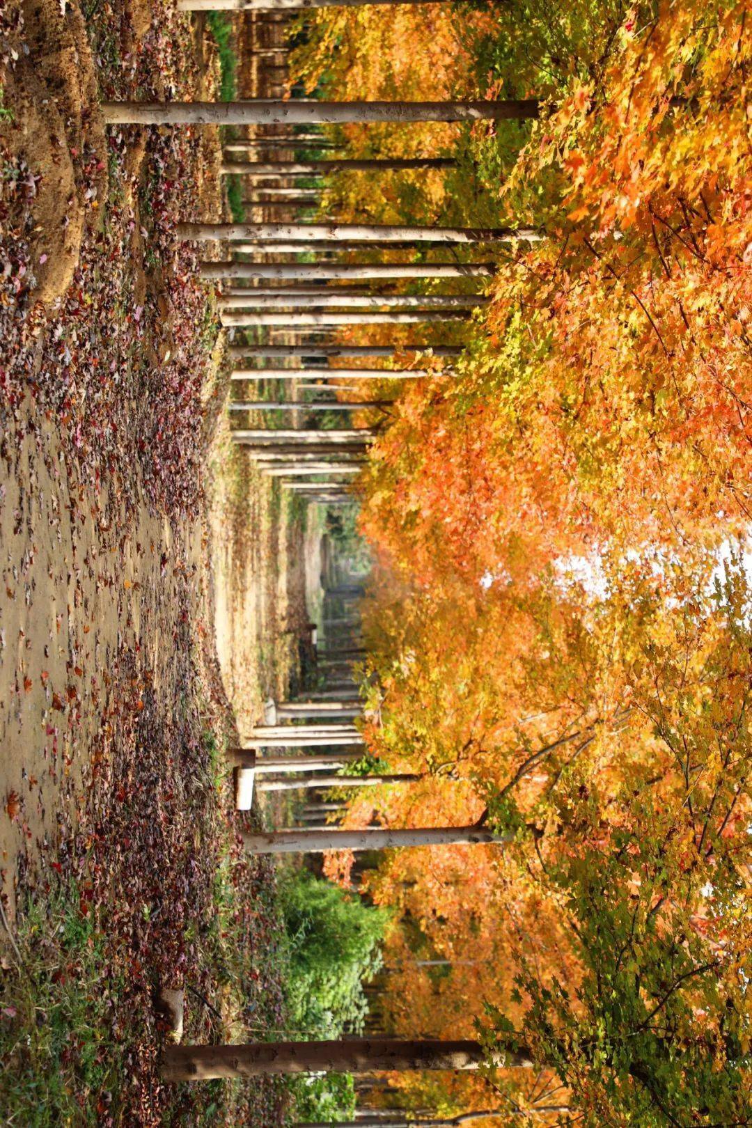 这样的美景很峰峰!_杨元_王健方_靳长友