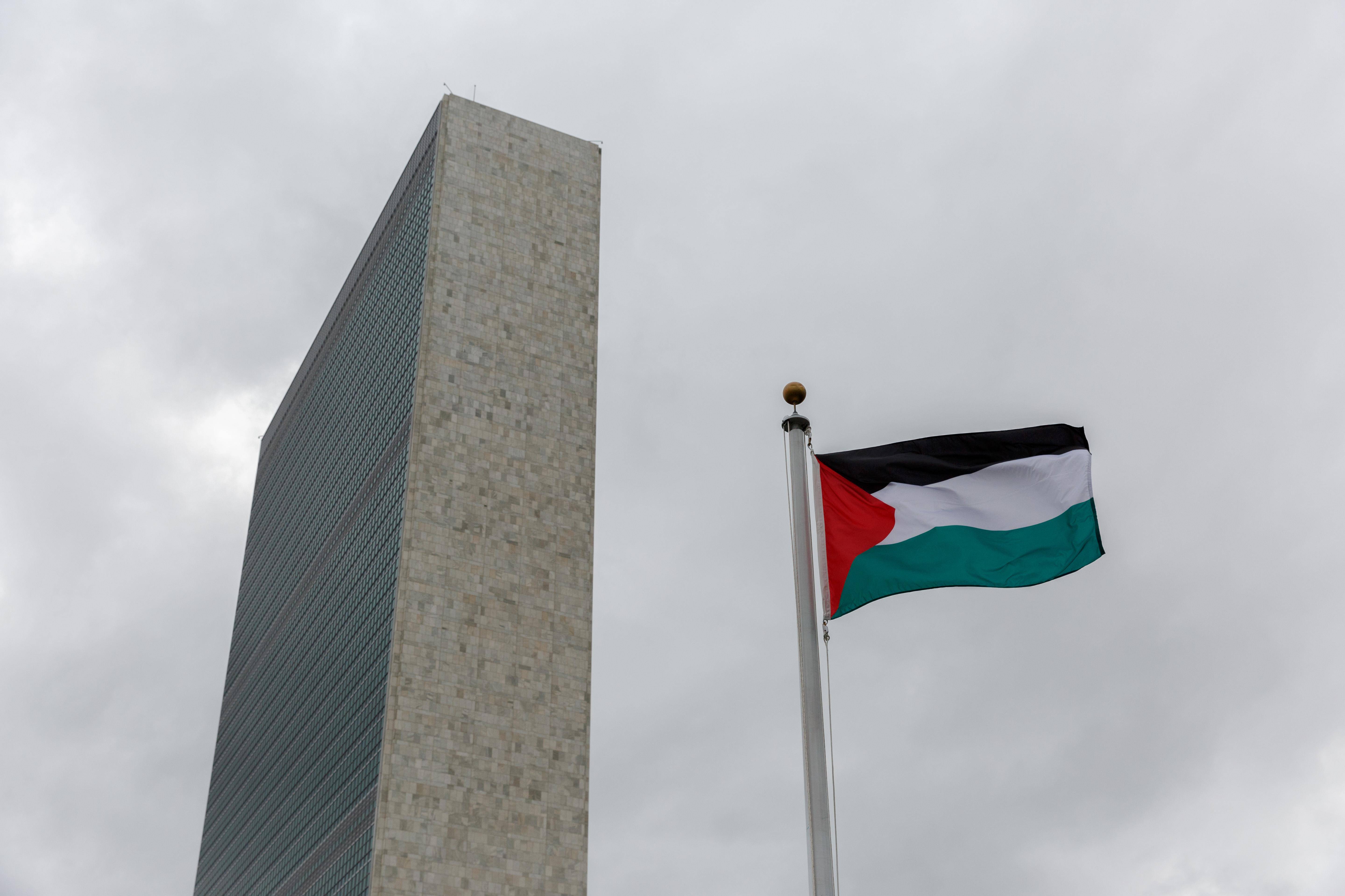 加沙国旗图片