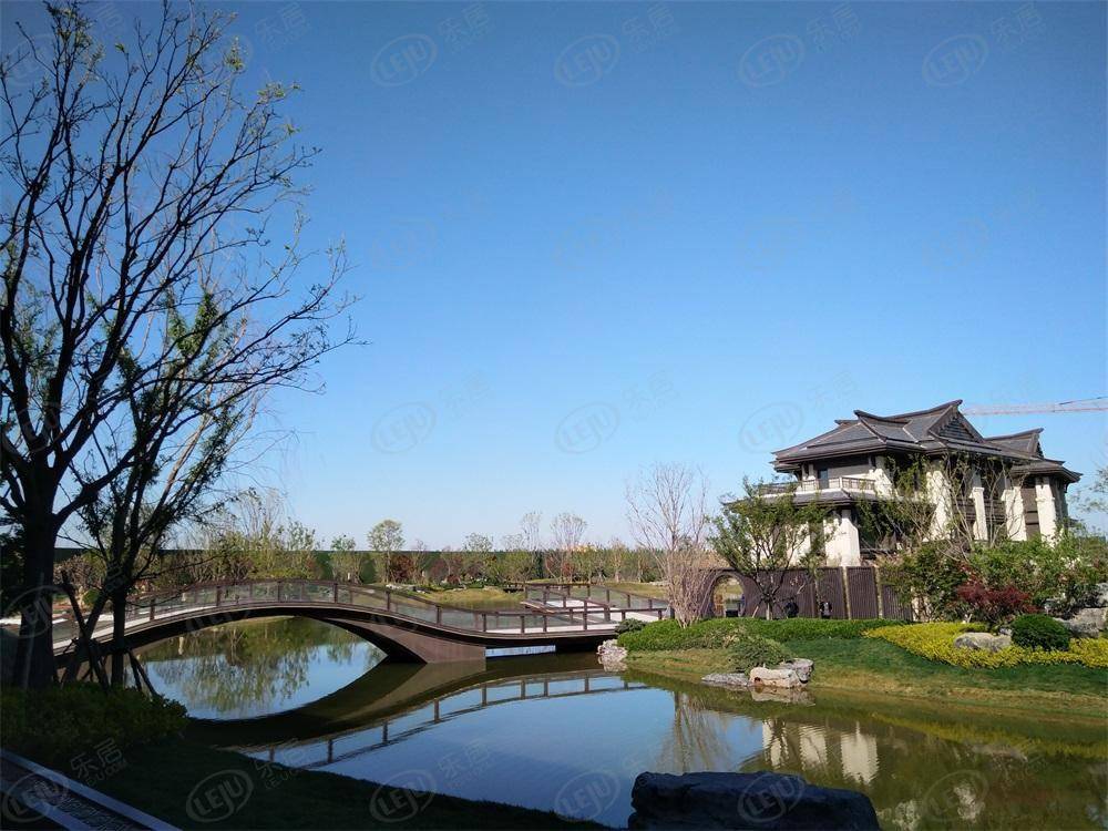 低密社区 齐河新城玺樾户型图公布 起价约10500元/㎡_项目_楼盘_国道