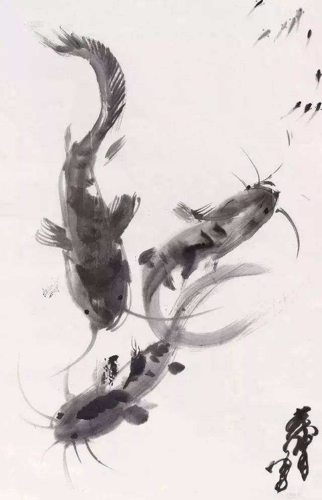 中国_鲶鱼_手法