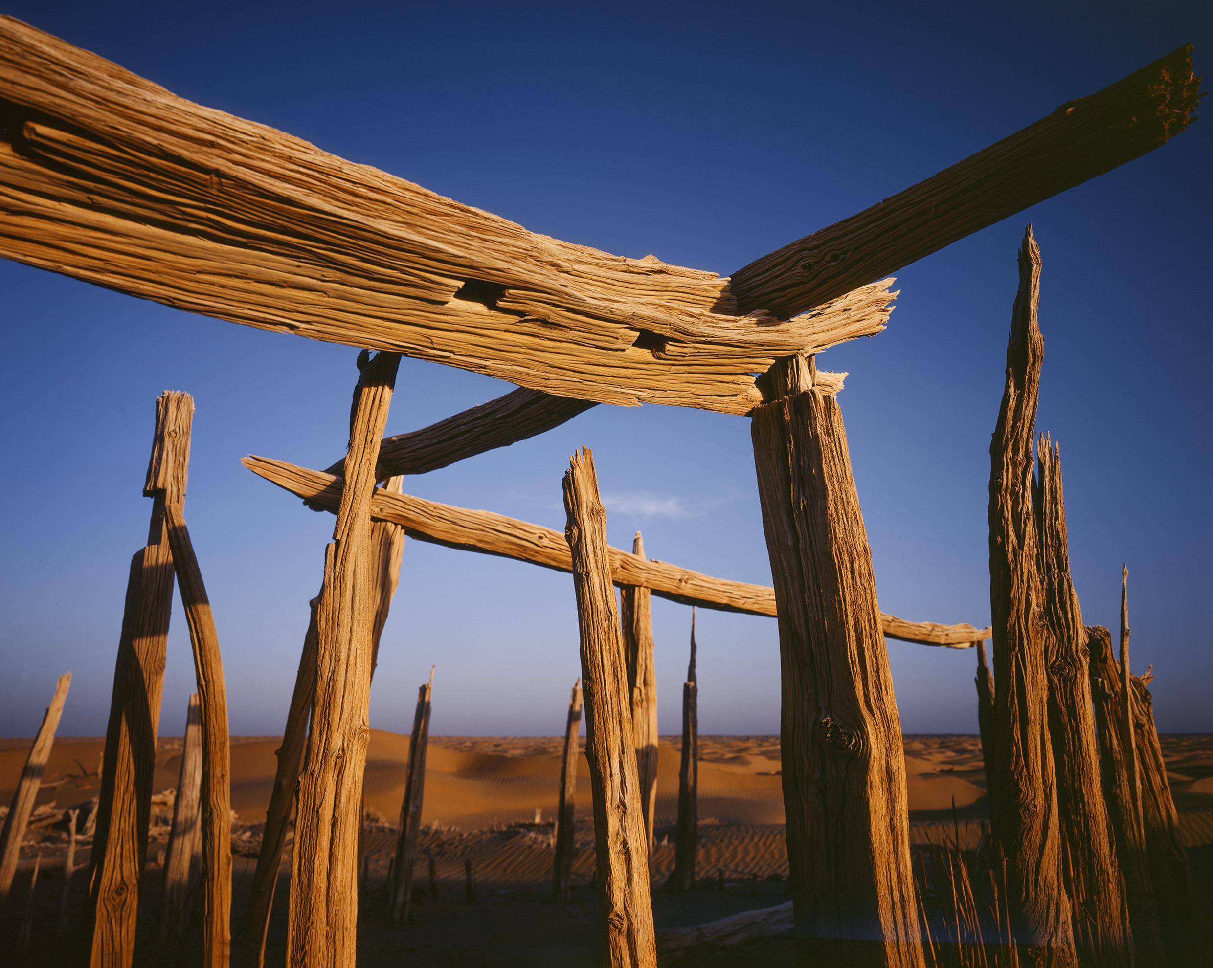 丁和:做丝路文化火炬的接力者_冯其庸_摄影家协会_龟兹