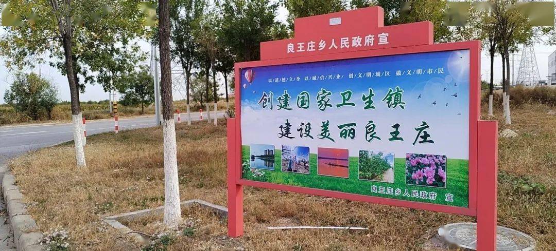 【创卫工作典型】静海区良王庄乡:强化创卫宣传 推动走深走实_活动