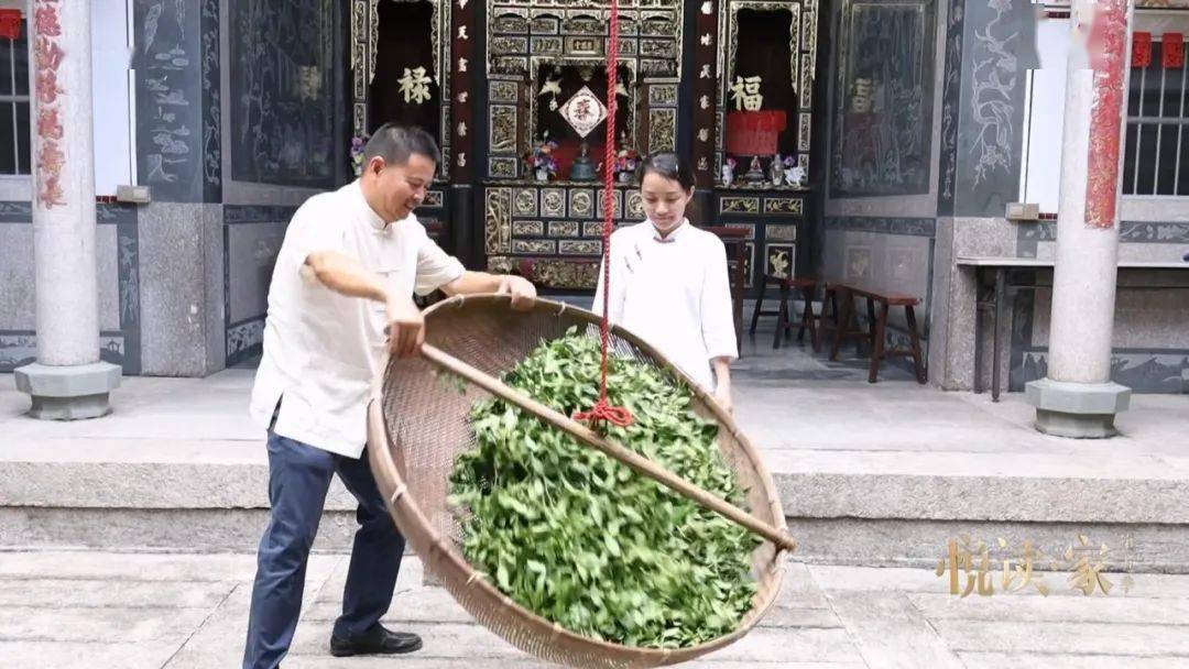 为了让女性全面参与制茶产业链,2019年,何环珠搭建了开放共享的平台