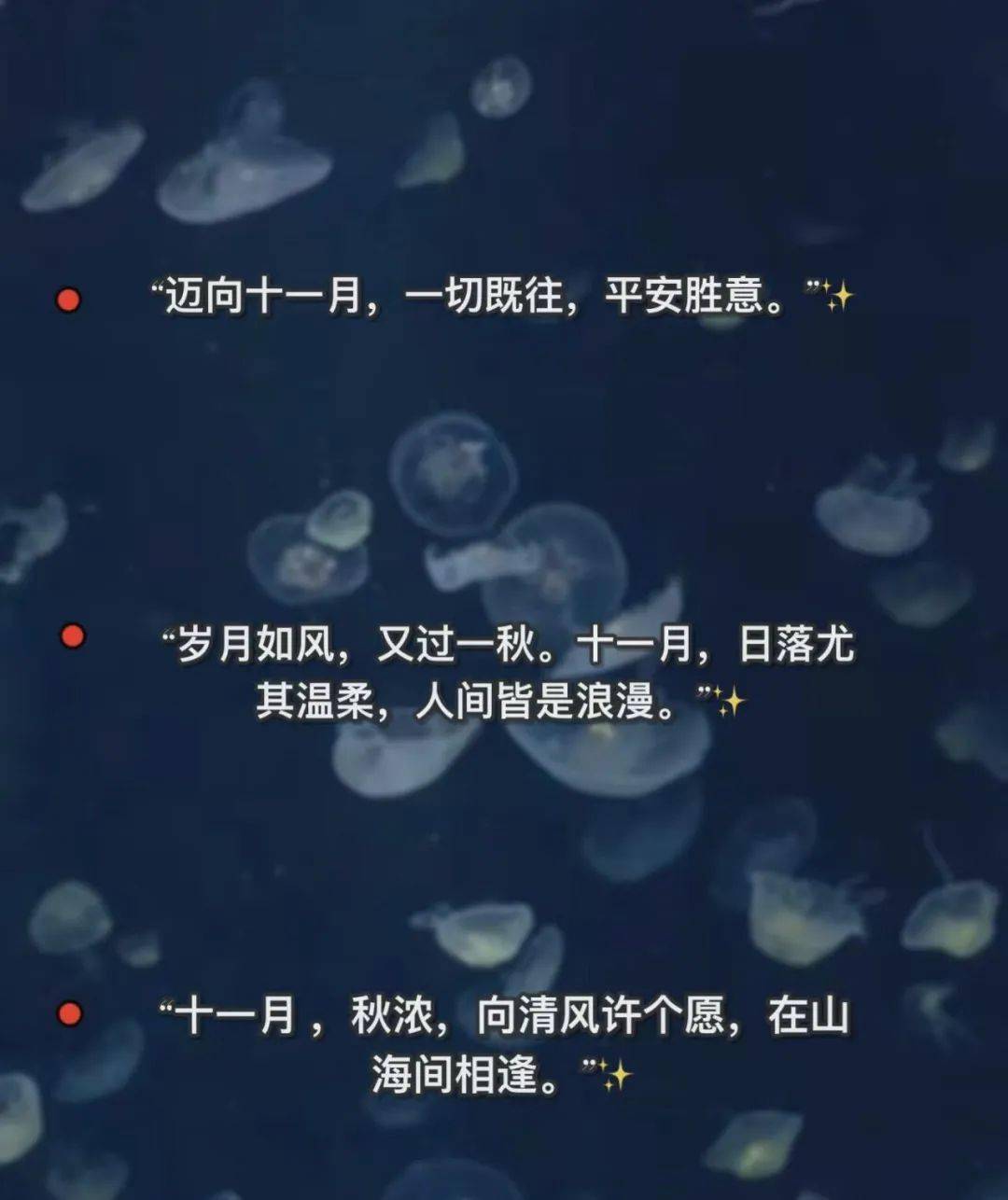 适合11月发的文案！