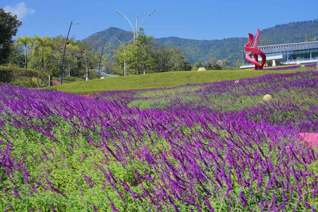 攀枝花普达阳光简介图片