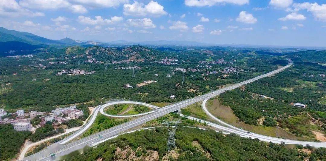 早熟的三月红,甜中藏有一抹酸的妃子笑,爽脆清甜的