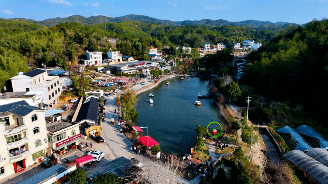 当落叶染上秋的颜色,谁能拒绝秋天的长汀_南坑村_龙岩_银杏