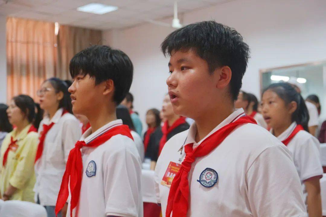 队天马山学校第十九次少先队代表大会顺利召开_少先队员_队旗_进行