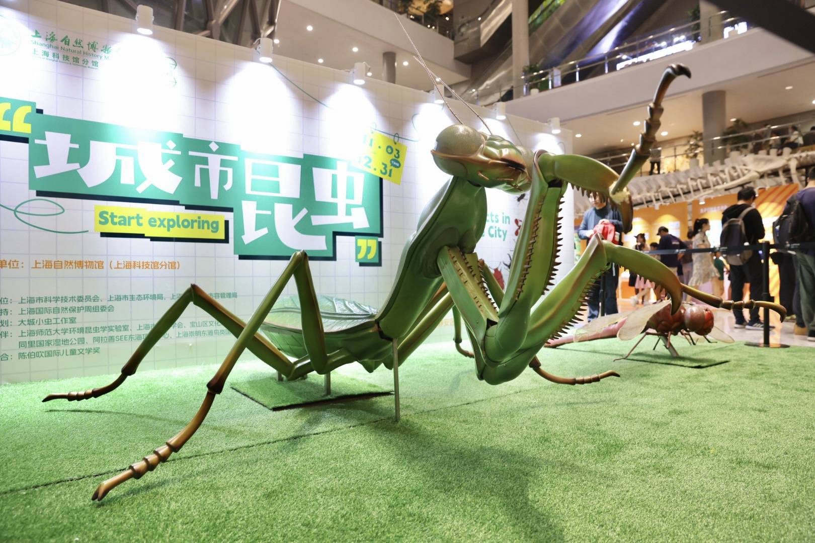 图说│夜游自然博物馆"昆虫总动员",探索城市"小邻居"的奇趣世界