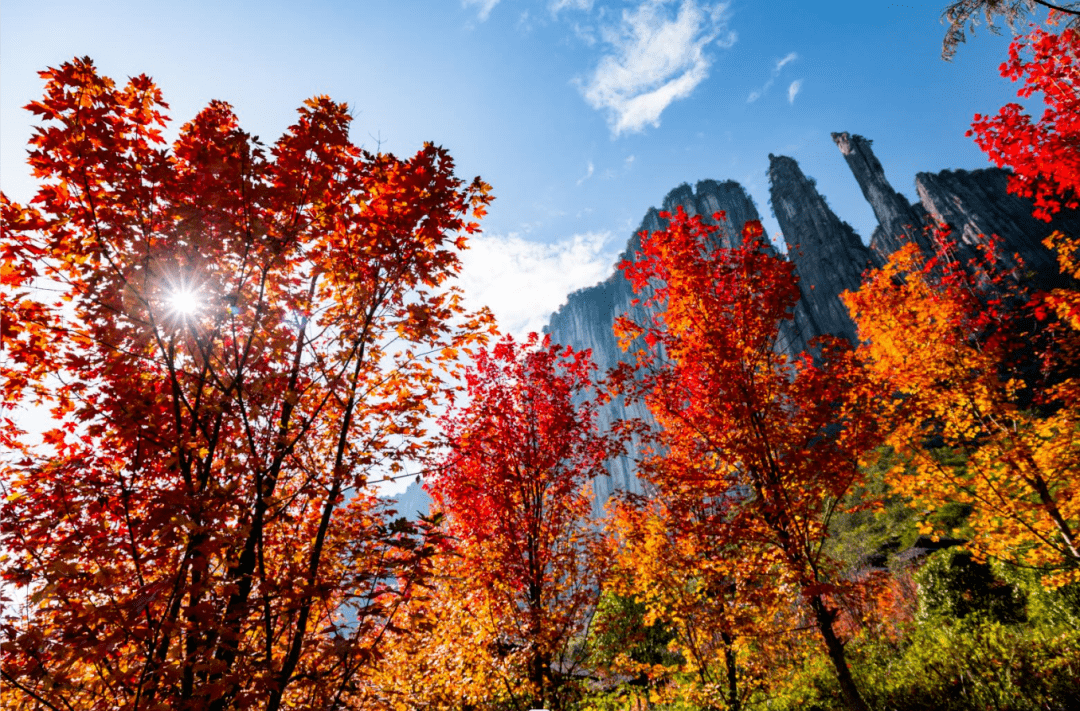 恩施旅游季节秋季图片