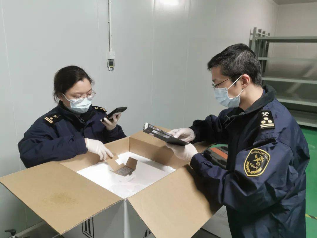 从2000片到不限量,进口牛心包膜背后的故事_生产_企业_上海