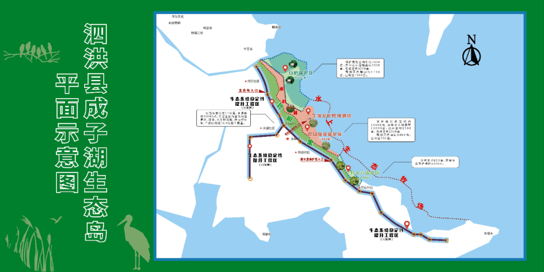 宿迁泗洪投资近7000万元打造成子湖"生态岛"试验区_龙集镇_白鹤_湿地