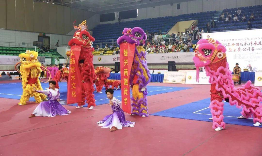 温州平阳为何有全国武术之乡之称?这场大赛告诉你答案_南拳_浙江_文化