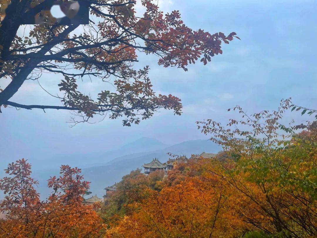 米常军 摄许正阳 摄红叶季节限定别错过这一场秋日之约绵延的山脉和漫