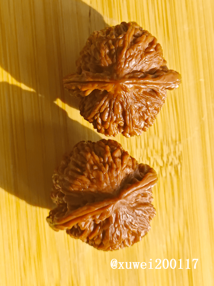 您看能不能入法眼?_过程_皮质_颜色