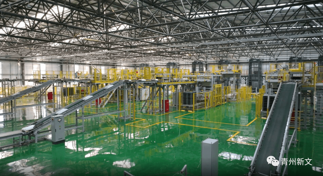 青州这个企业建有亚洲面积最大的一个车间,你知道在哪里吗?