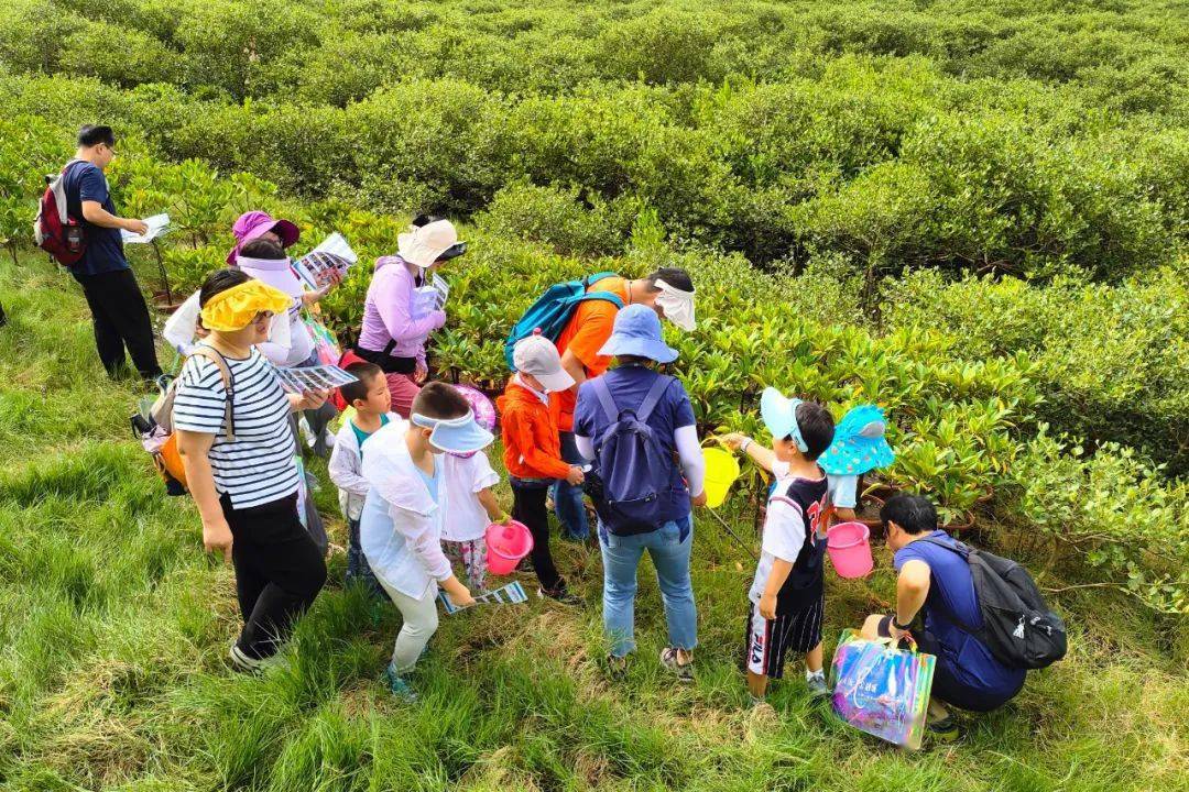 绿林研学旅行图片