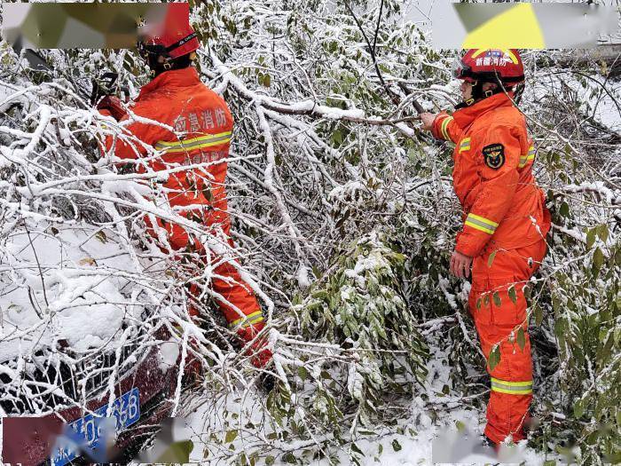 中新网新疆新闻11月6日电(周继成 孙明超)11月3日