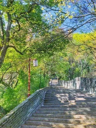 龙岩人的登高攻略!秋日爬山有这些好去处→_looking_梅花山_for