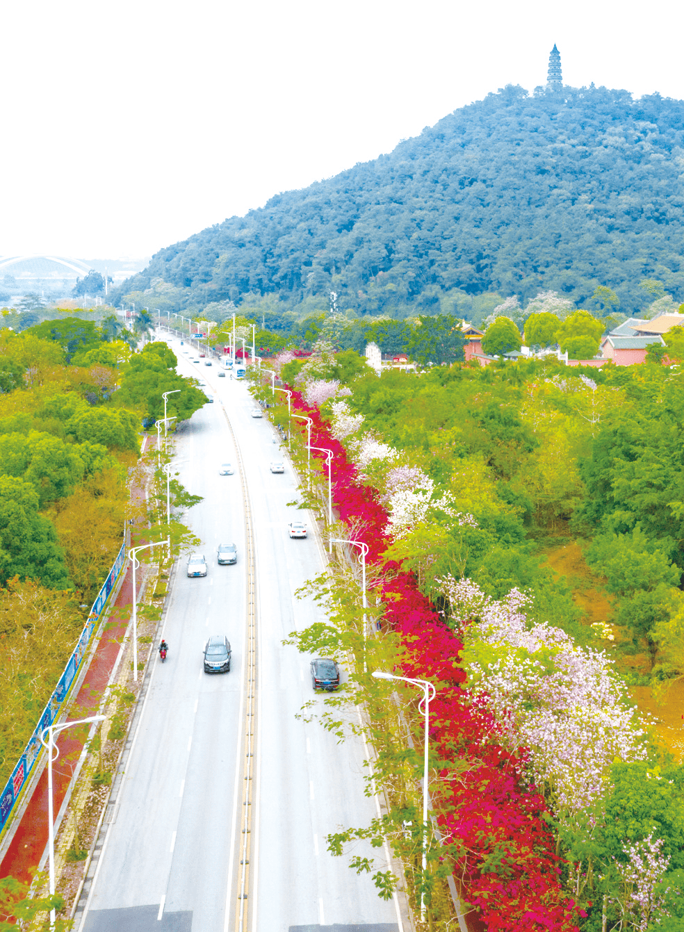 青秀山南门图片