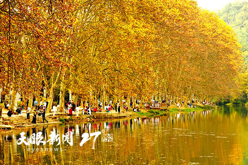 【组图】贵阳黄金大道秋色斑斓 花溪河现"水中云月"美景_贵州省_花溪