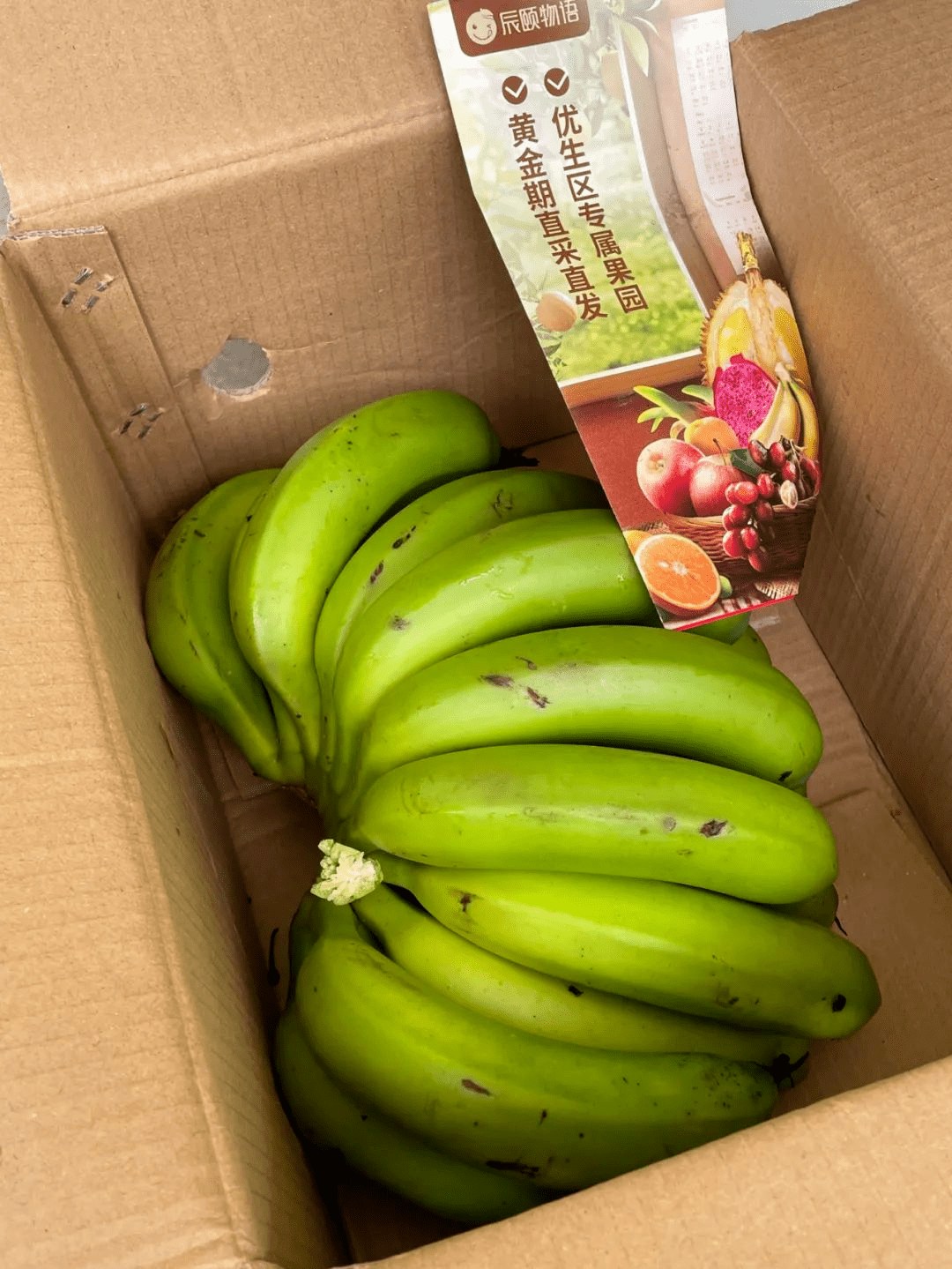 云南大山深处的绿皮香蕉99999973没有保鲜剂防腐剂催熟剂的