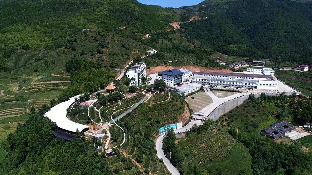 国心绿谷茶庄园位于素有"中国水墨之村"之美誉的安溪县尚卿乡黄岭村