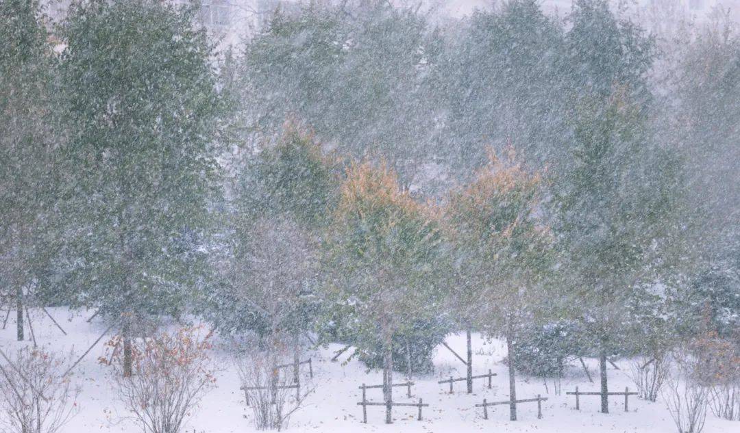 雨雪量或将突破历史同期极值!极端暴雪何时停?_天气_中东部_内蒙古