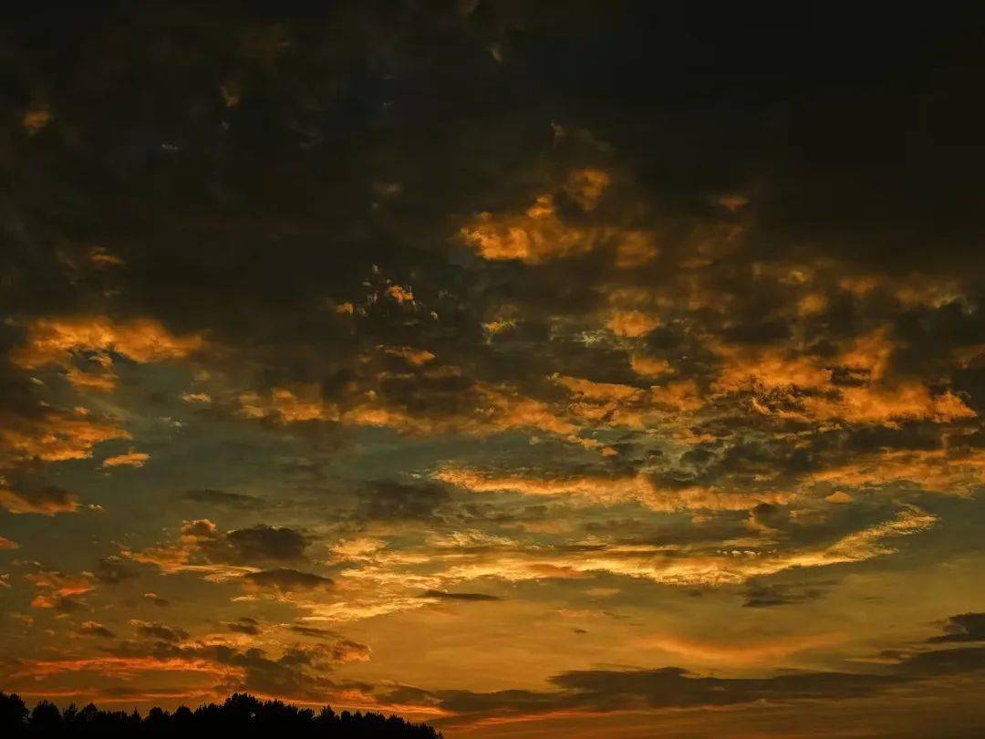 世界变幻无常,我偏爱云彩漫天_西农_水产_天空