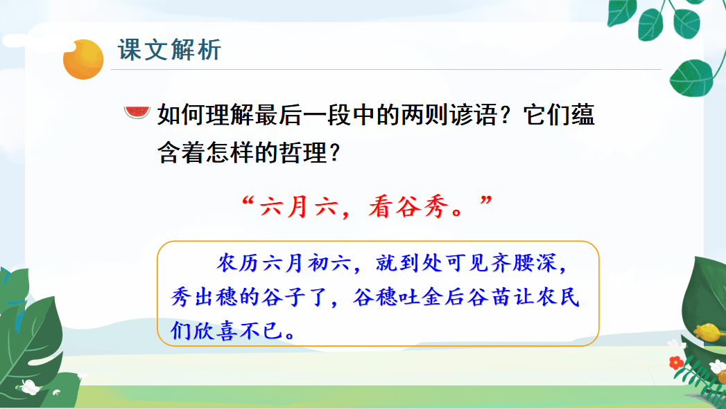 【课件】六年级语文上册 课文16《夏天里的成长》