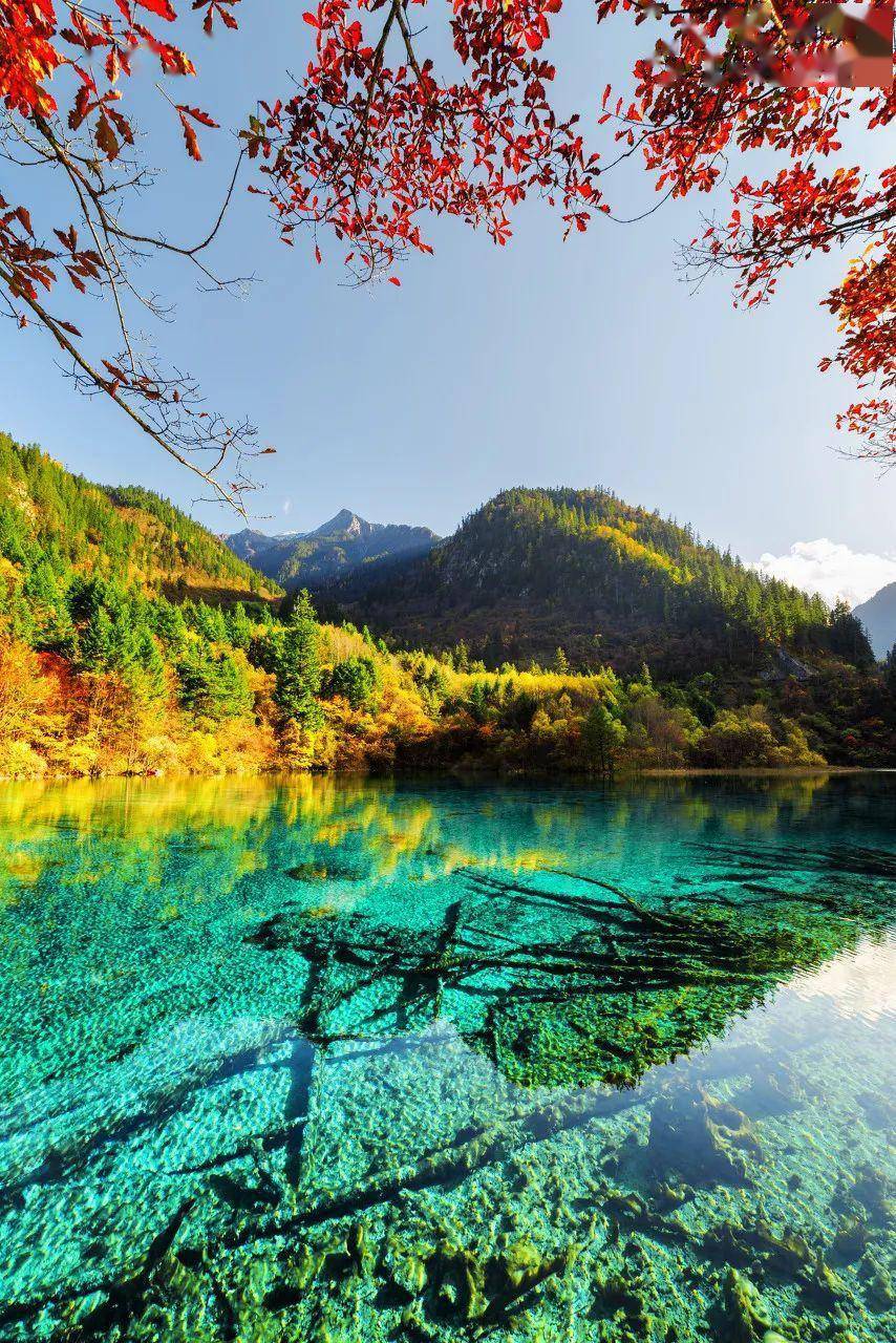 中国最美的50个秋景,去过20个就算旅行达人,你去过几个了?