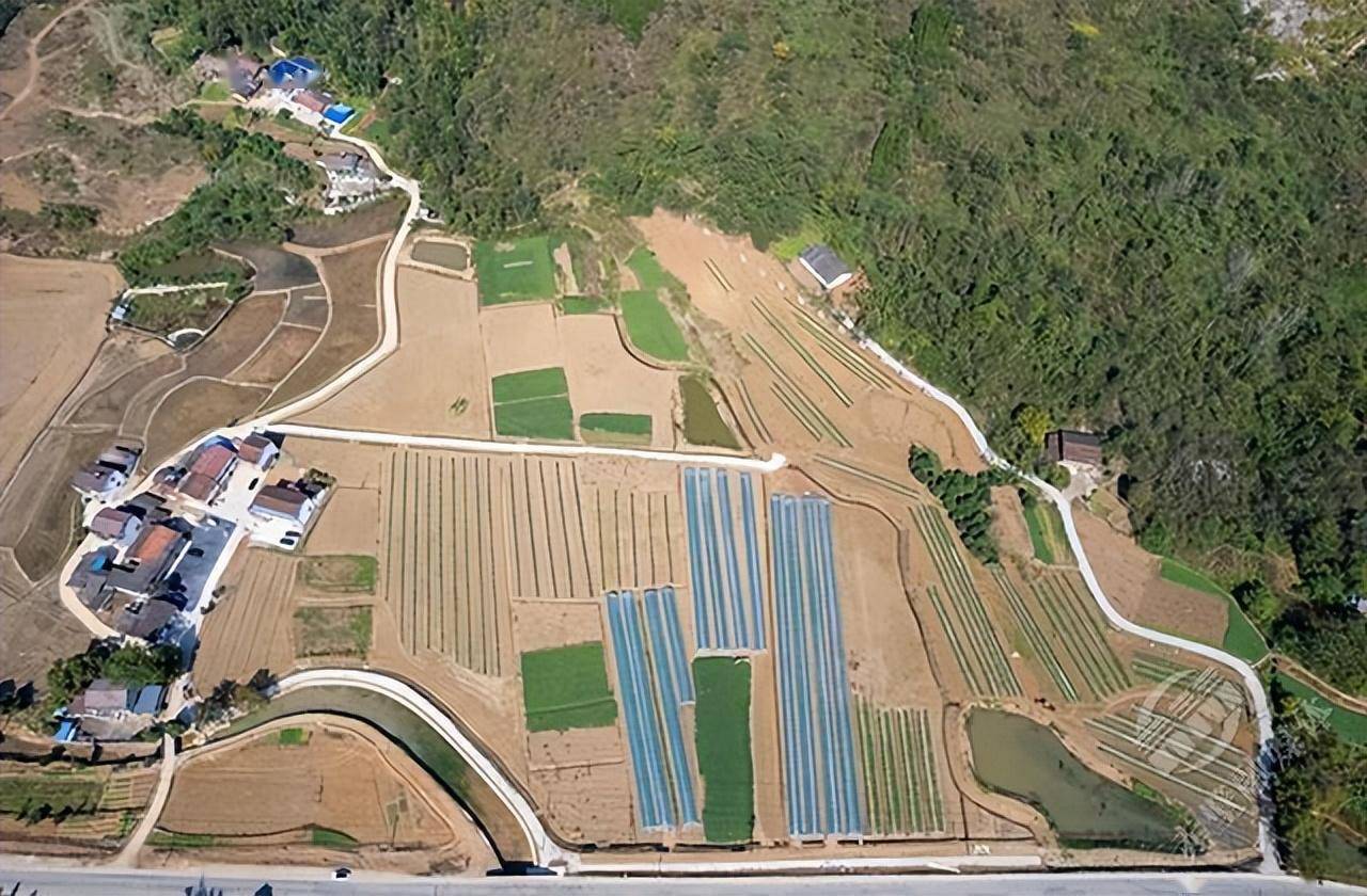 湖北赤壁:两山理念勾画羊楼洞港小流域综合治理蓝图_农业_发展_农户