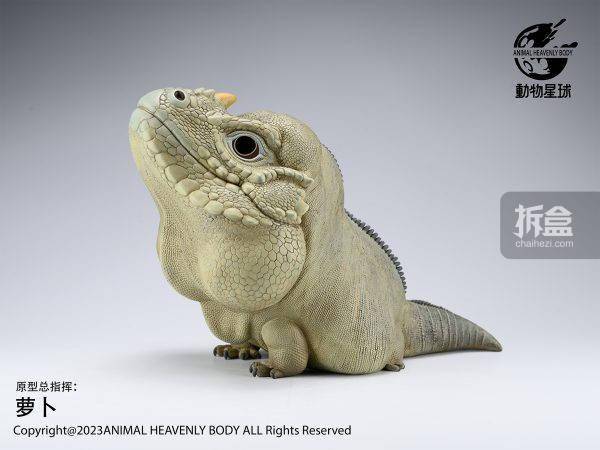 动物星球 犀牛鬣蜥plus版 大比例动物 限量gk摆件手办_官方_公众_网站
