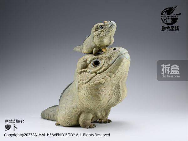 动物星球 犀牛鬣蜥plus版 大比例动物 限量gk摆件手办_官方_公众_网站