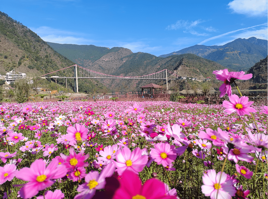 五彩澜沧江丨云县昔宜村:好山好水好日子_旅游_发展_临沧