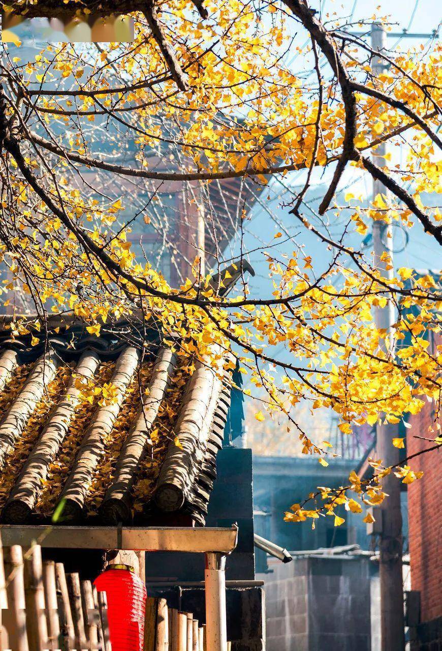 中国最美的50个秋景,去过20个就算旅行达人,你去过几个了?
