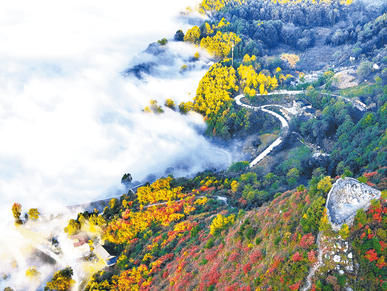 走进镇安｜风景秀丽海棠山_红叶_主峰_游客