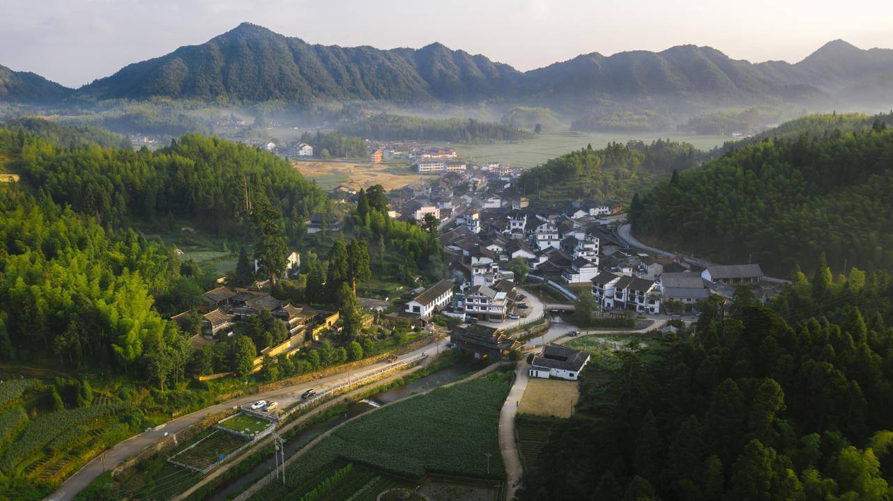 景宁县大漈乡"二十年前,我们还没有产业支撑,乡里很支持我们农民做