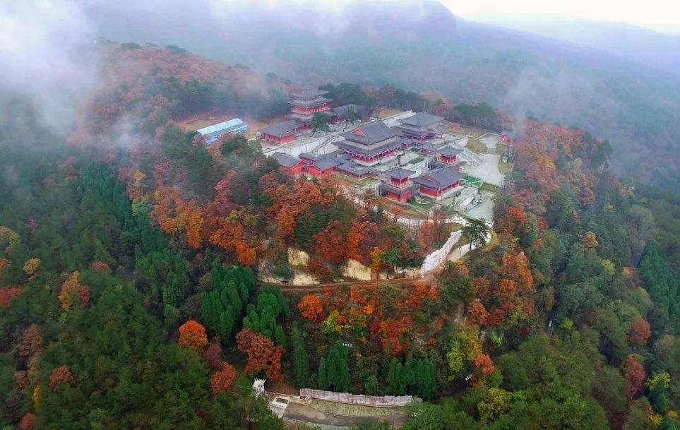 天曌山国家森林公园红叶指数达到Ⅱ级_四川省_景区_来源