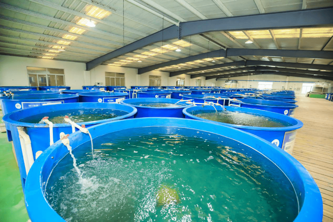 一次打卡国内最齐全海水养殖品种!