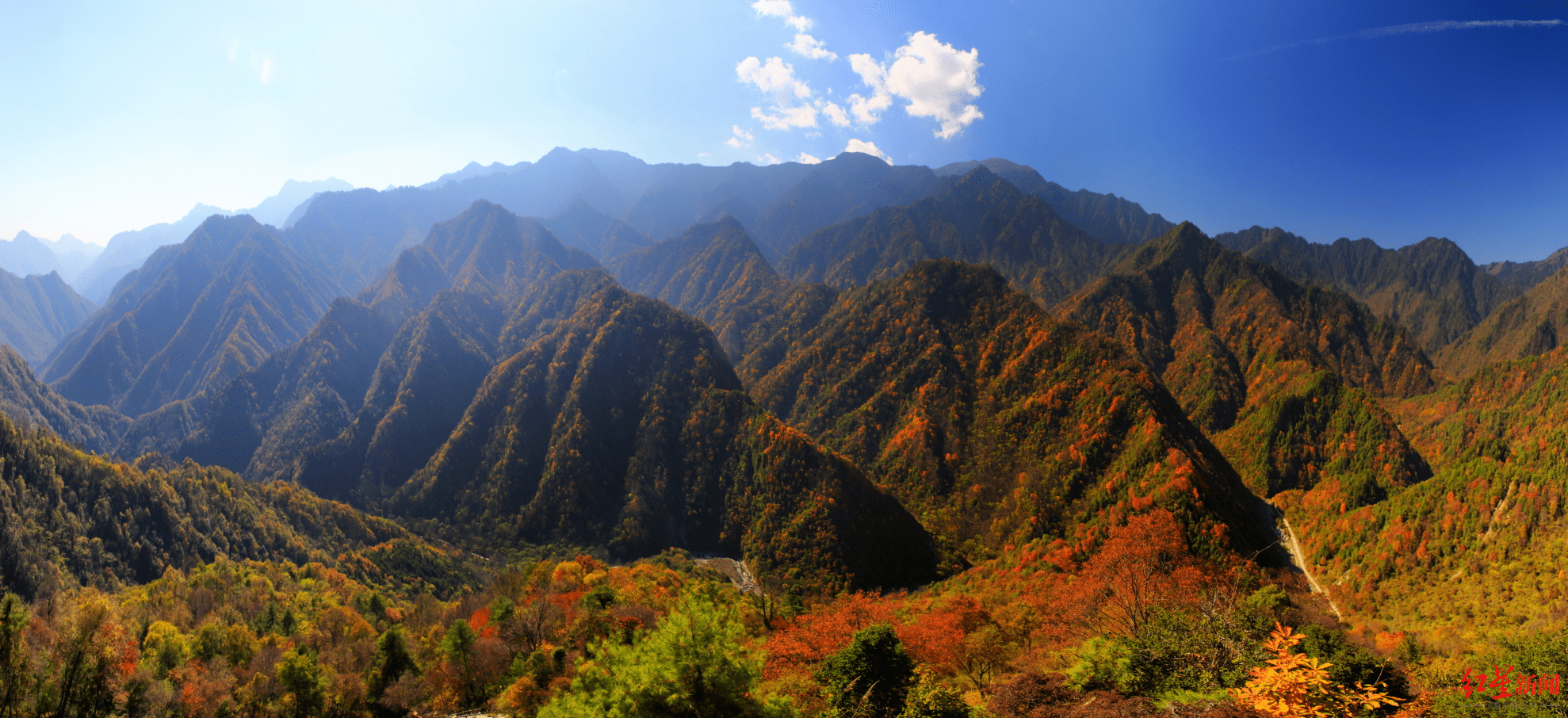 青川县海拔图片