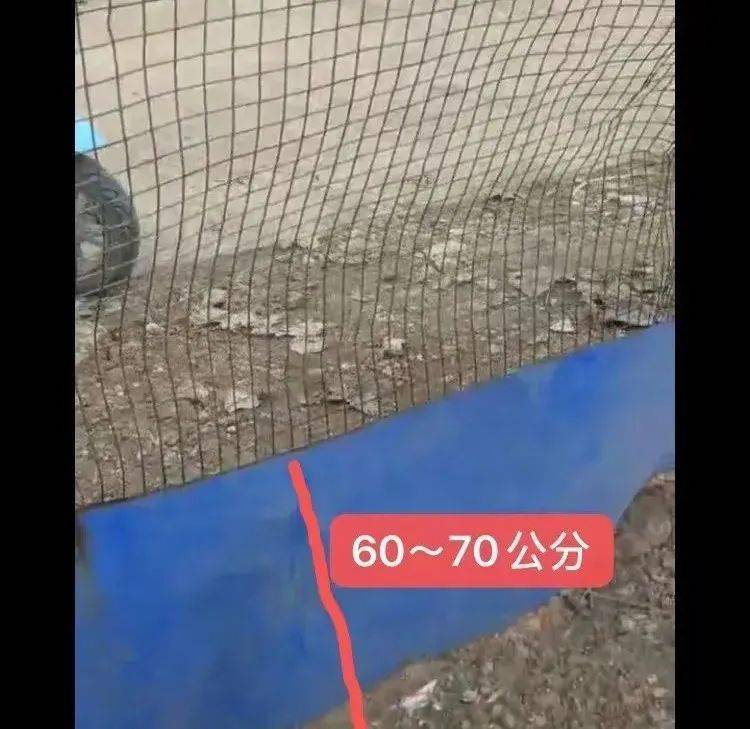 2,做好防逃设施:一般选择铁皮,高度60-70公分插在地面,围绕池塘一周插