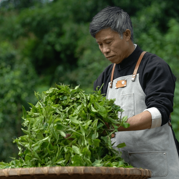 中国传统制茶技艺及其相关习俗_茶叶_普洱市_普洱茶