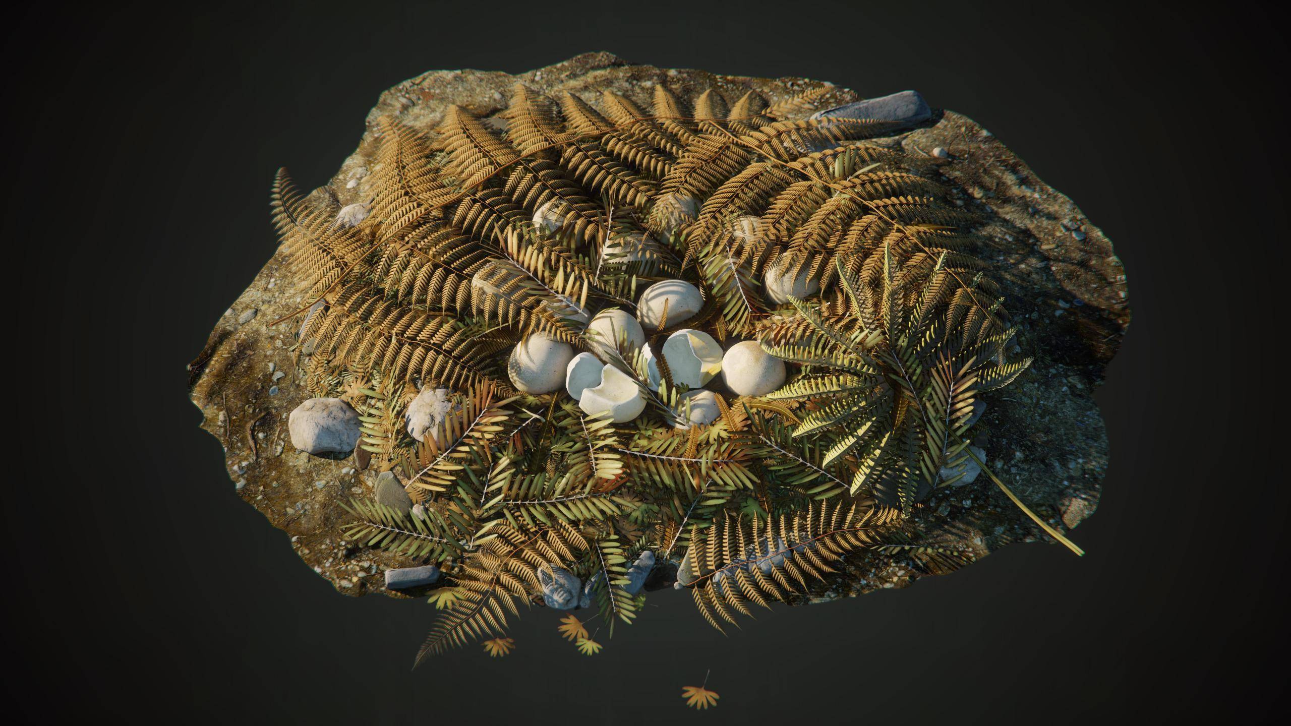 9亿年前恐龙蛋窝,被发现了!_守护_贵州省_研究人员